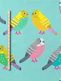 J&J Bio Jersey Budgie mint